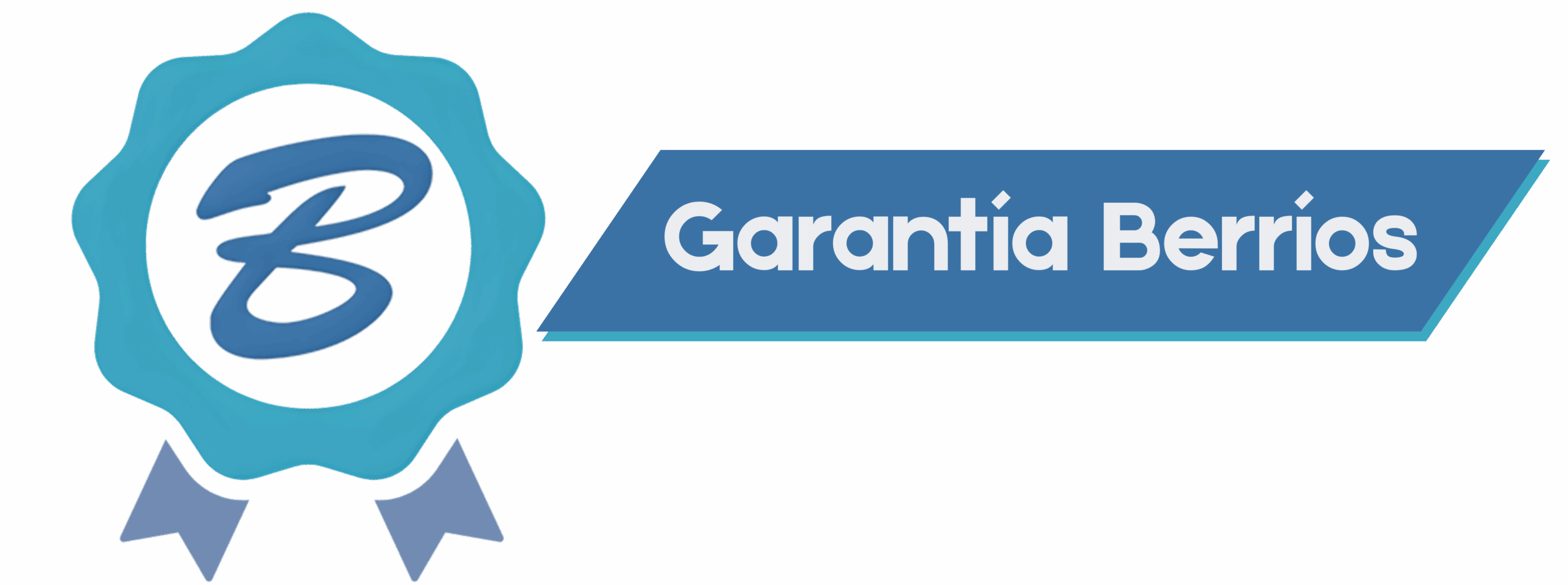 Logo 1